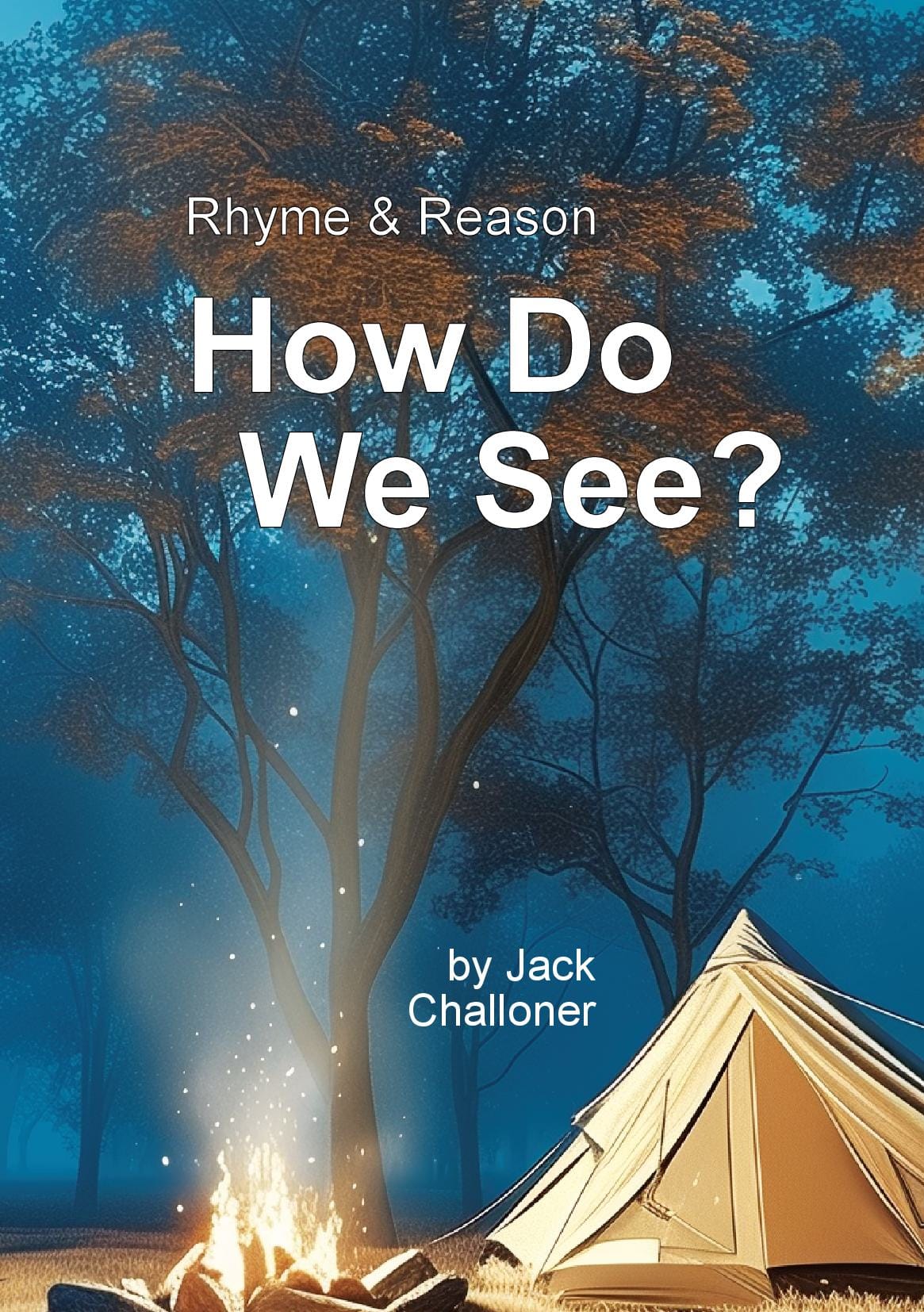 How Do We See?