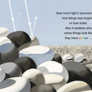 Rhyme & Reason: How Do We See? - Image 4