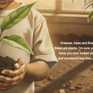 Rhyme & Reason: How Do Plants Grow? - Image 3