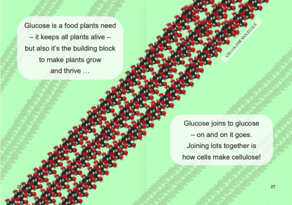 Rhyme & Reason: How Do Plants Grow?