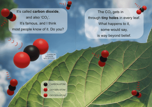 Rhyme & Reason: How Do Plants Grow?